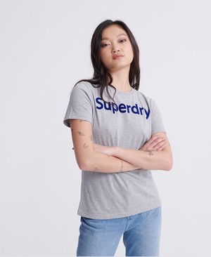 Superdry Flock Női Pólók Szürke | KPUWT0742